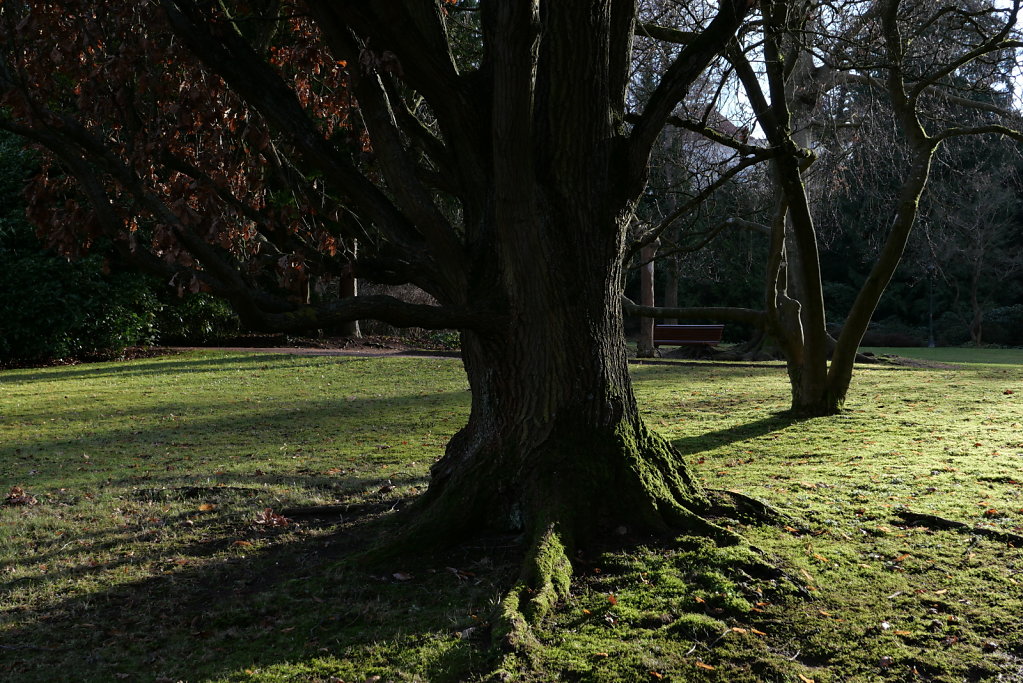 L1011082.JPG